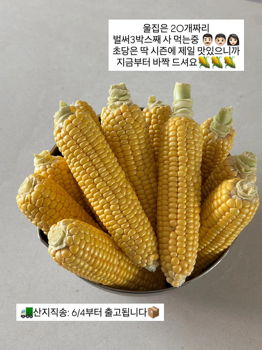 마늘 보관 용기 8