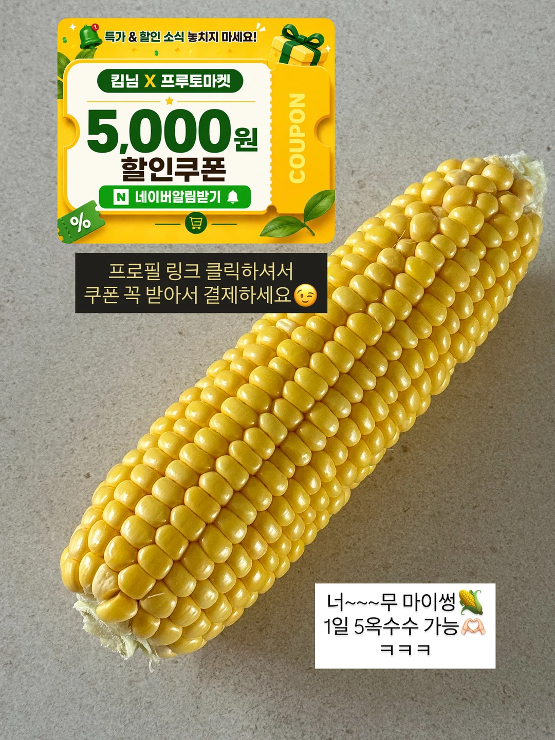 마늘 보관 용기 9