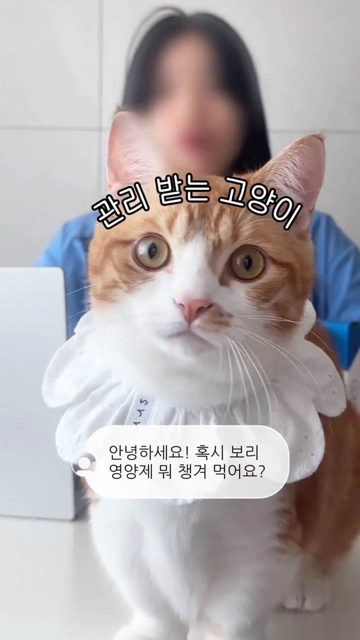 셔츠+나시원피스 세트
