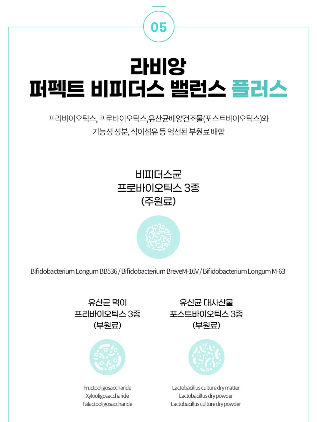 씽킹브레인스쿨 15