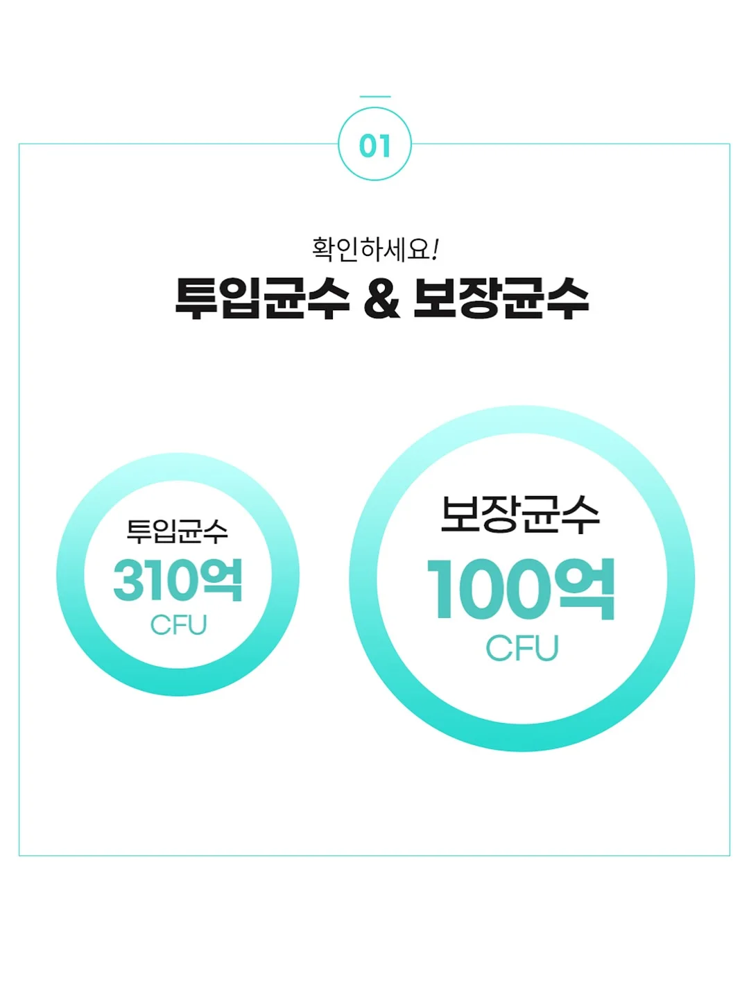 씽킹브레인스쿨 5