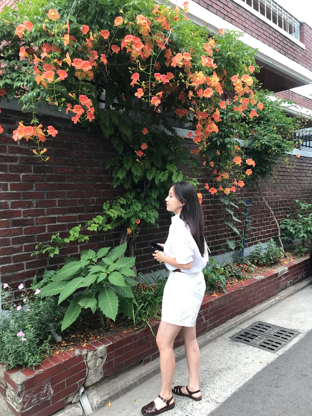 모기 패치 5