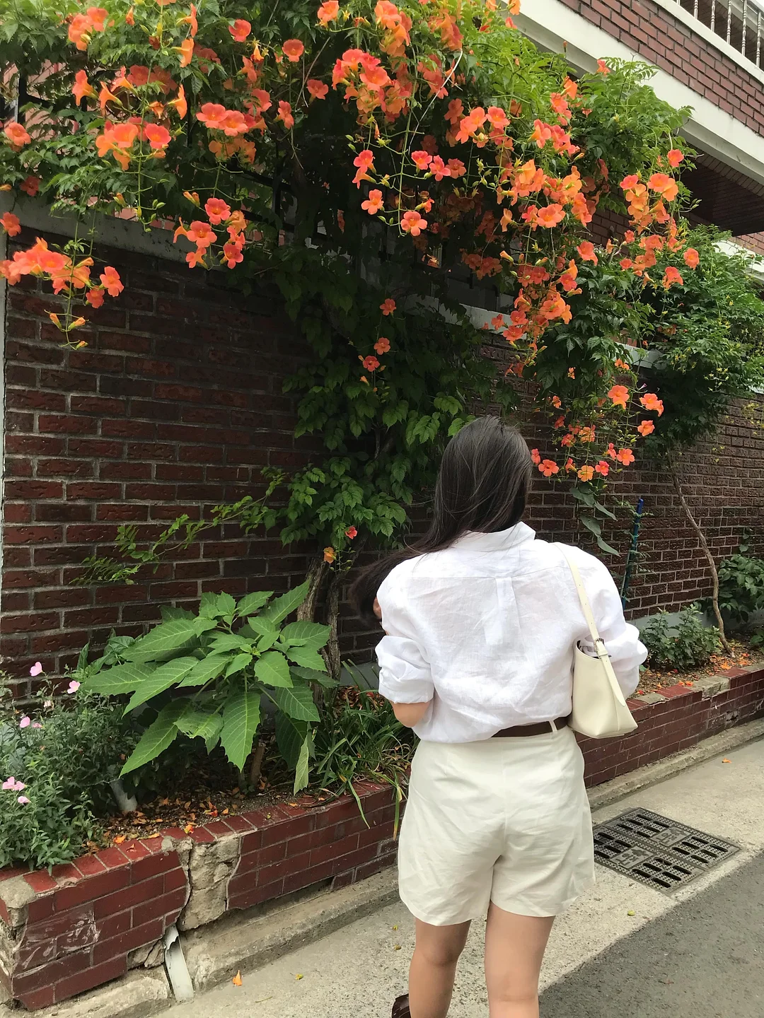 모기 패치 6