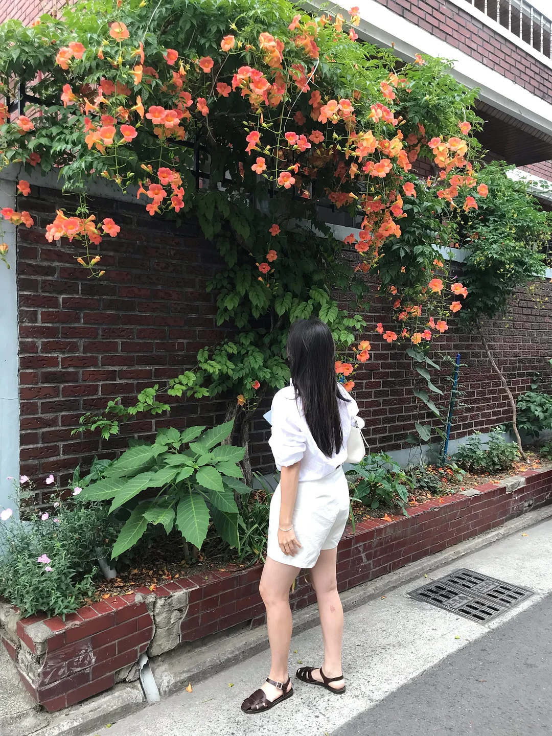 모기 패치 7