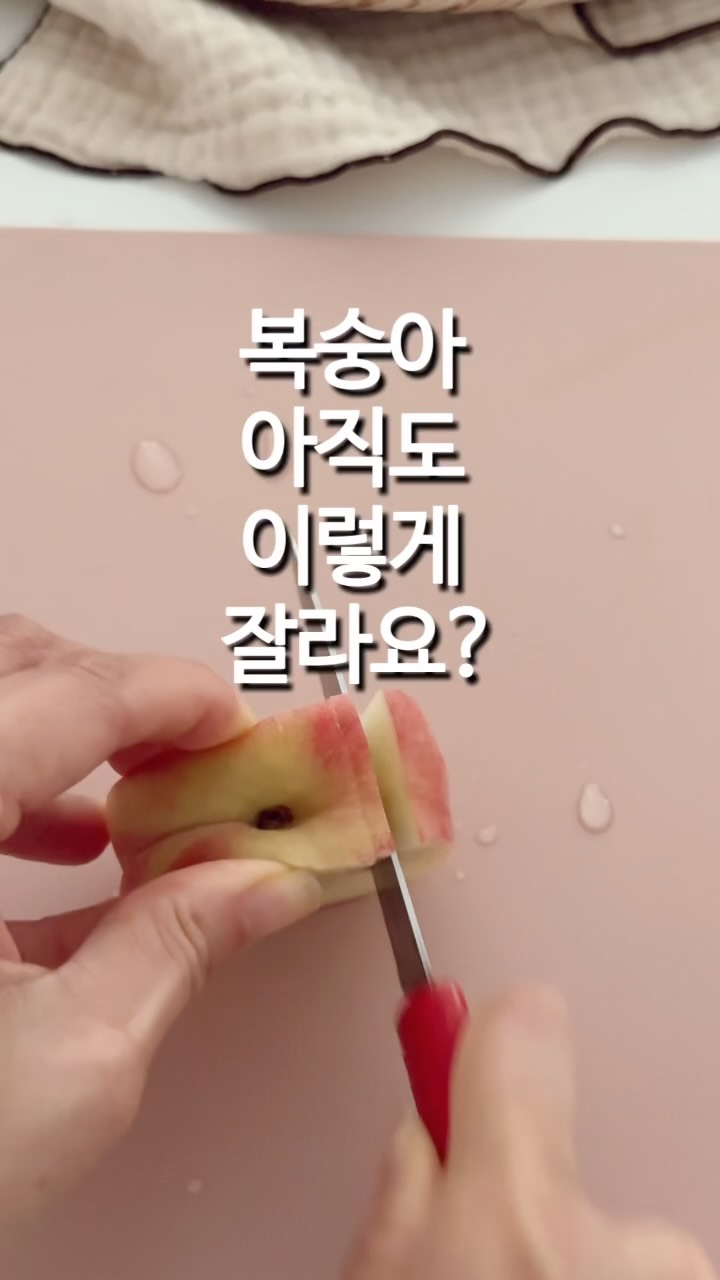 셋업