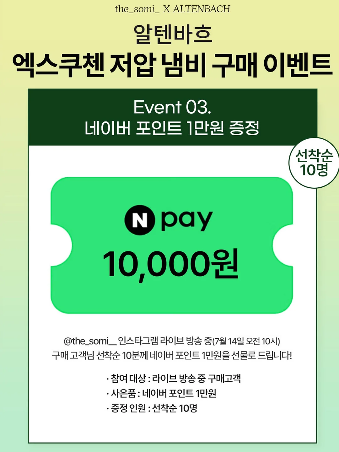 금빛 번개무늬 식물 4