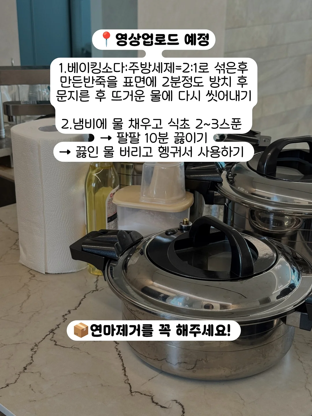 금빛 번개무늬 식물 8