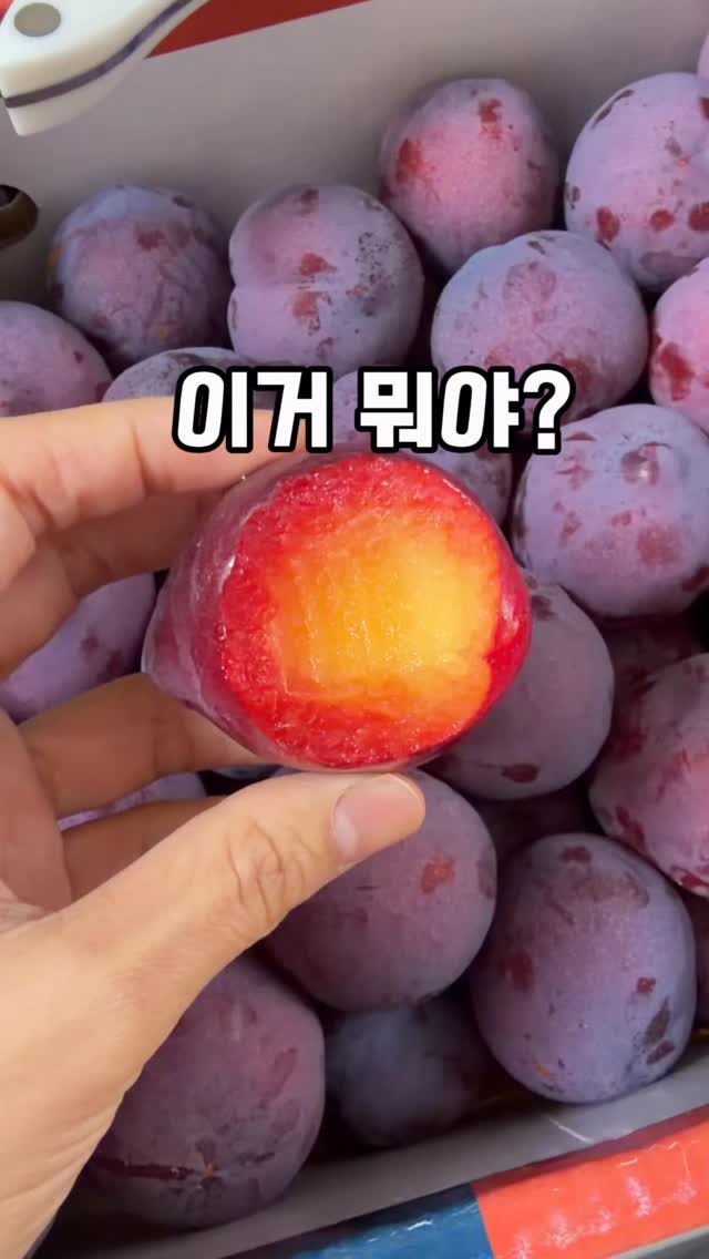 하이넥 타올지 나시티