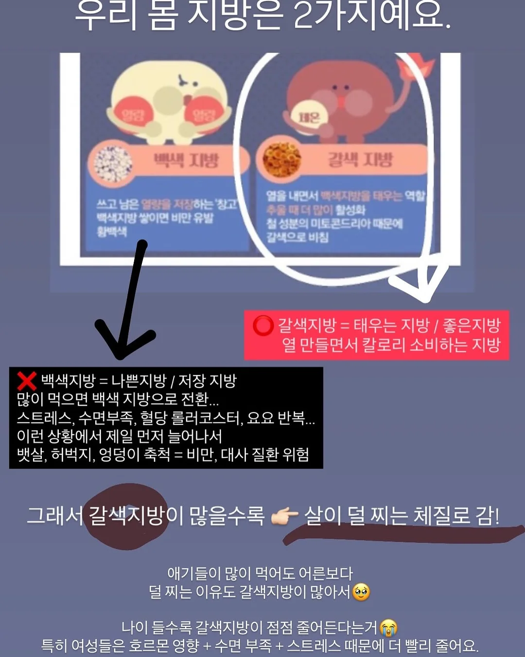 잡곡밥 영양 흡수 혈당 관리 3