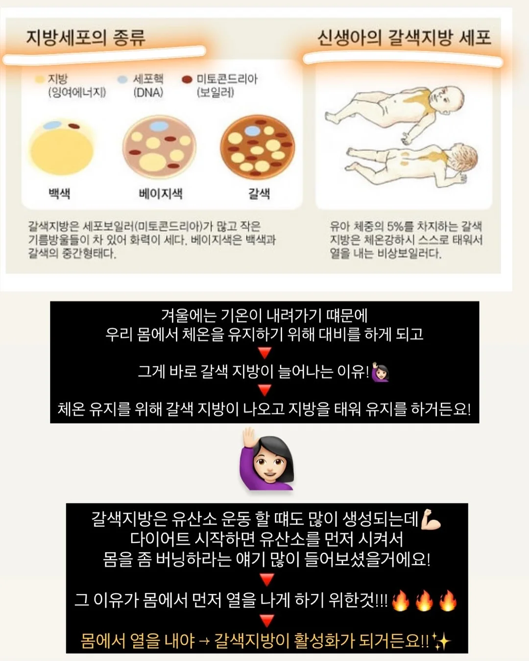 잡곡밥 영양 흡수 혈당 관리 4