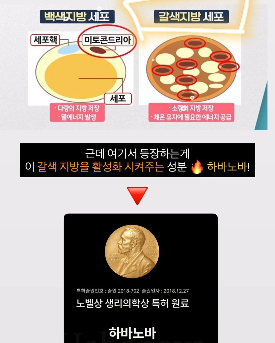 잡곡밥 영양 흡수 혈당 관리 5