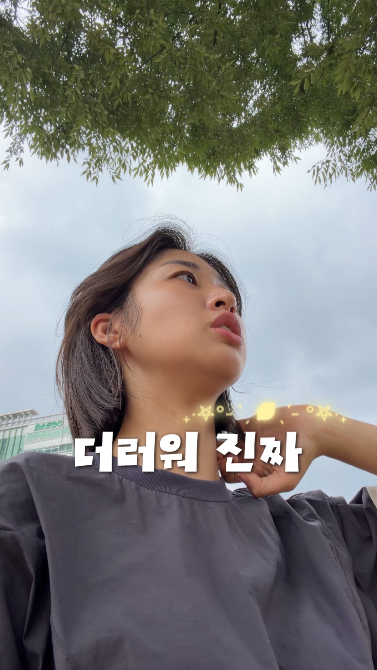 소프트랩 아이스믹스