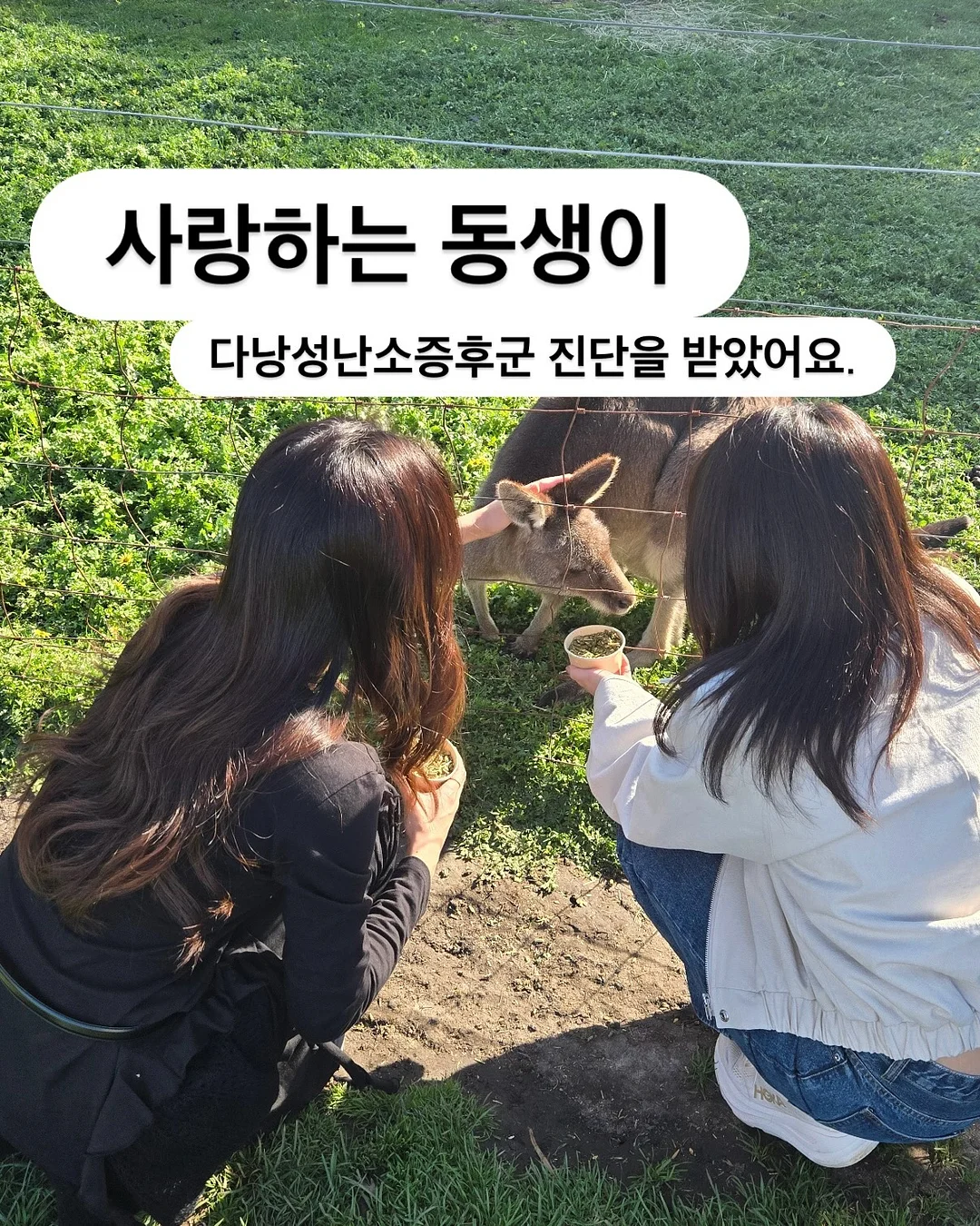 대한항공 상세 분석 리포트 1