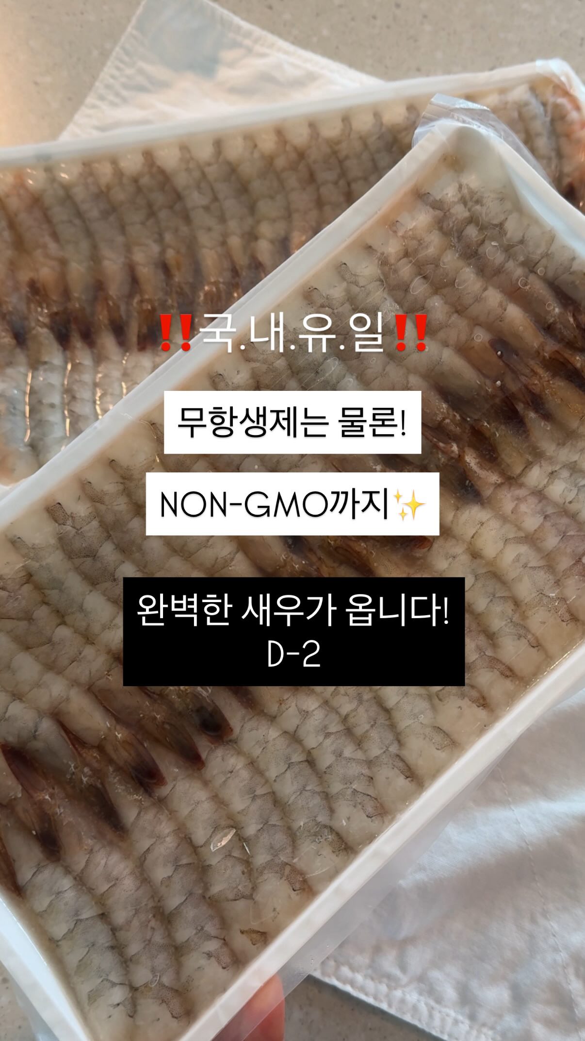 셀린 셔츠