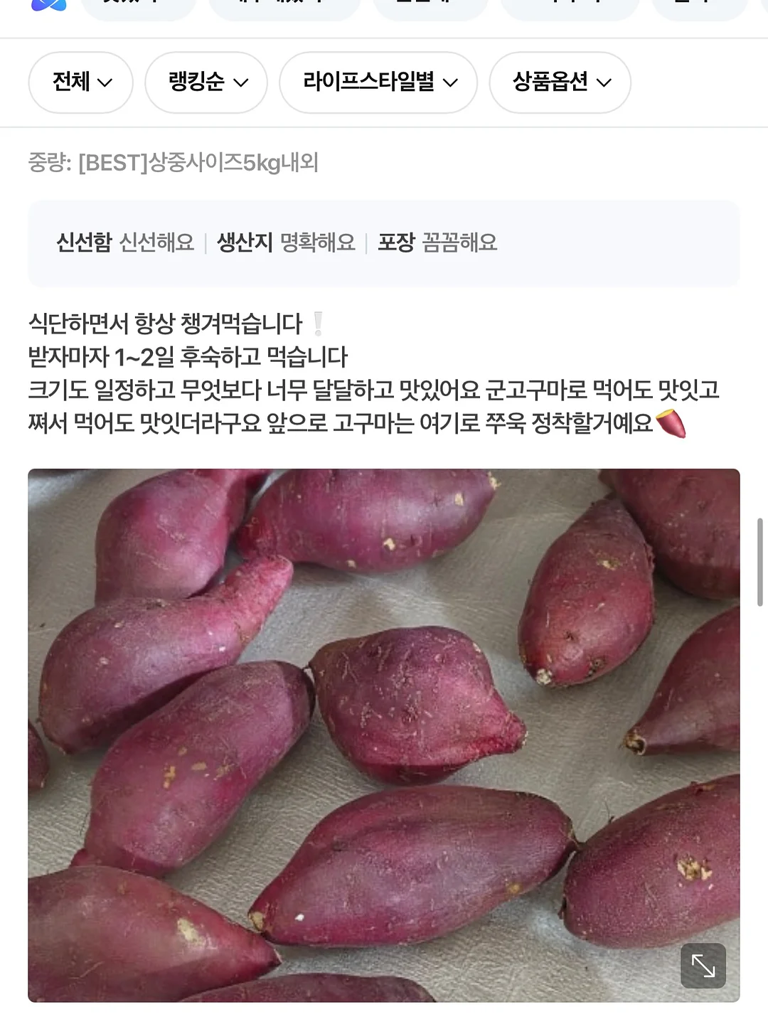 핀턱 밴딩팬츠 9