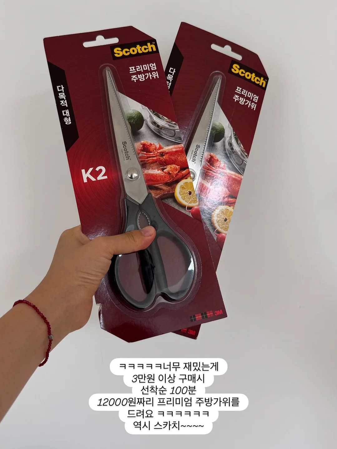 하엘즈 플리츠 블라우스 14