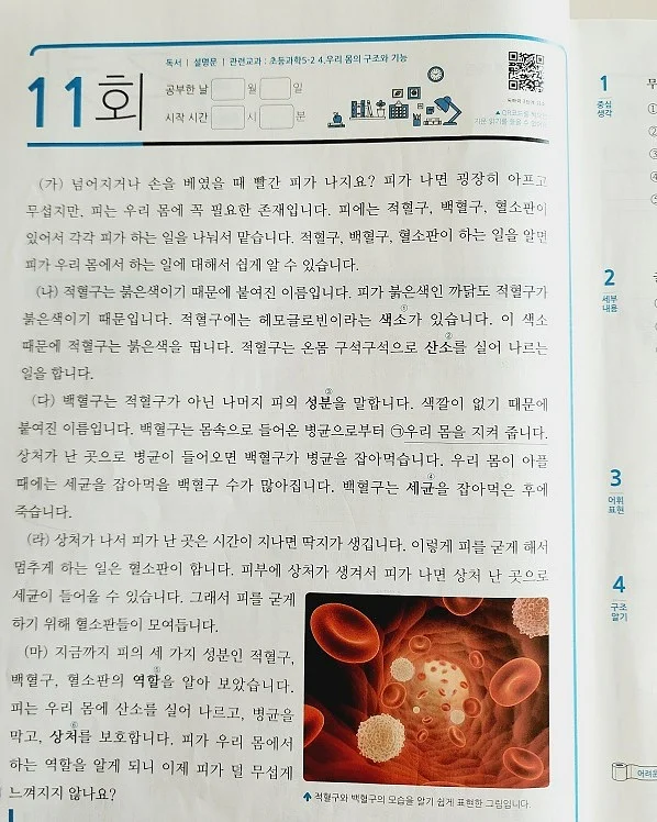 자식농사 용돈케이크 3호 2