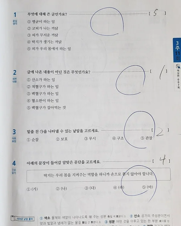 자식농사 용돈케이크 3호 3