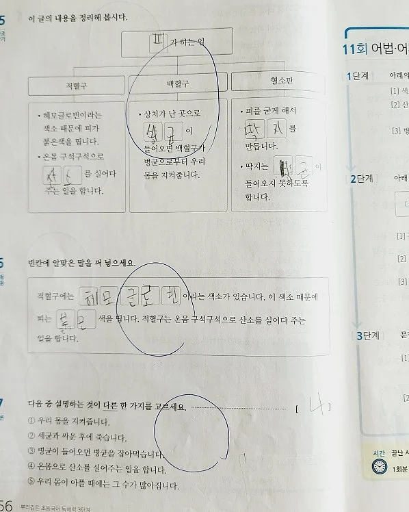 자식농사 용돈케이크 3호 4