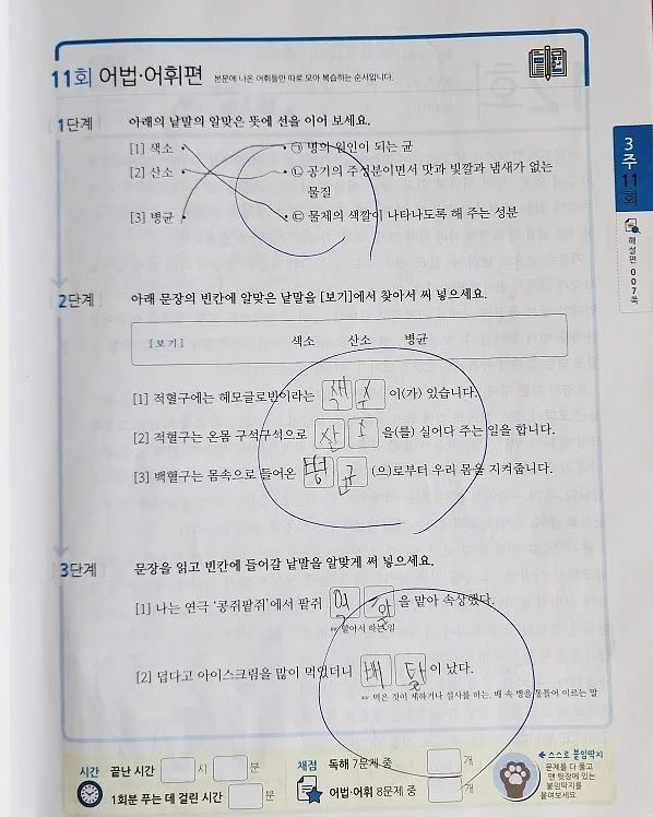 자식농사 용돈케이크 3호 5