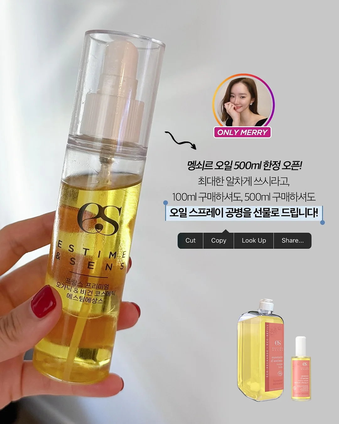 대추단자 13