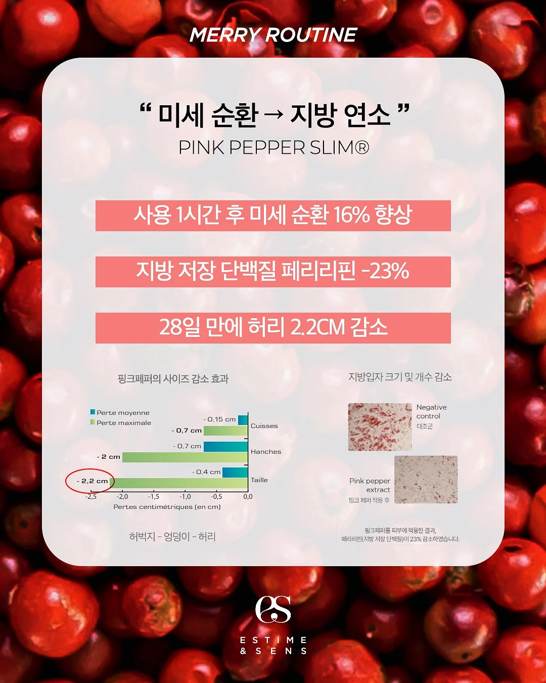 대추단자 14