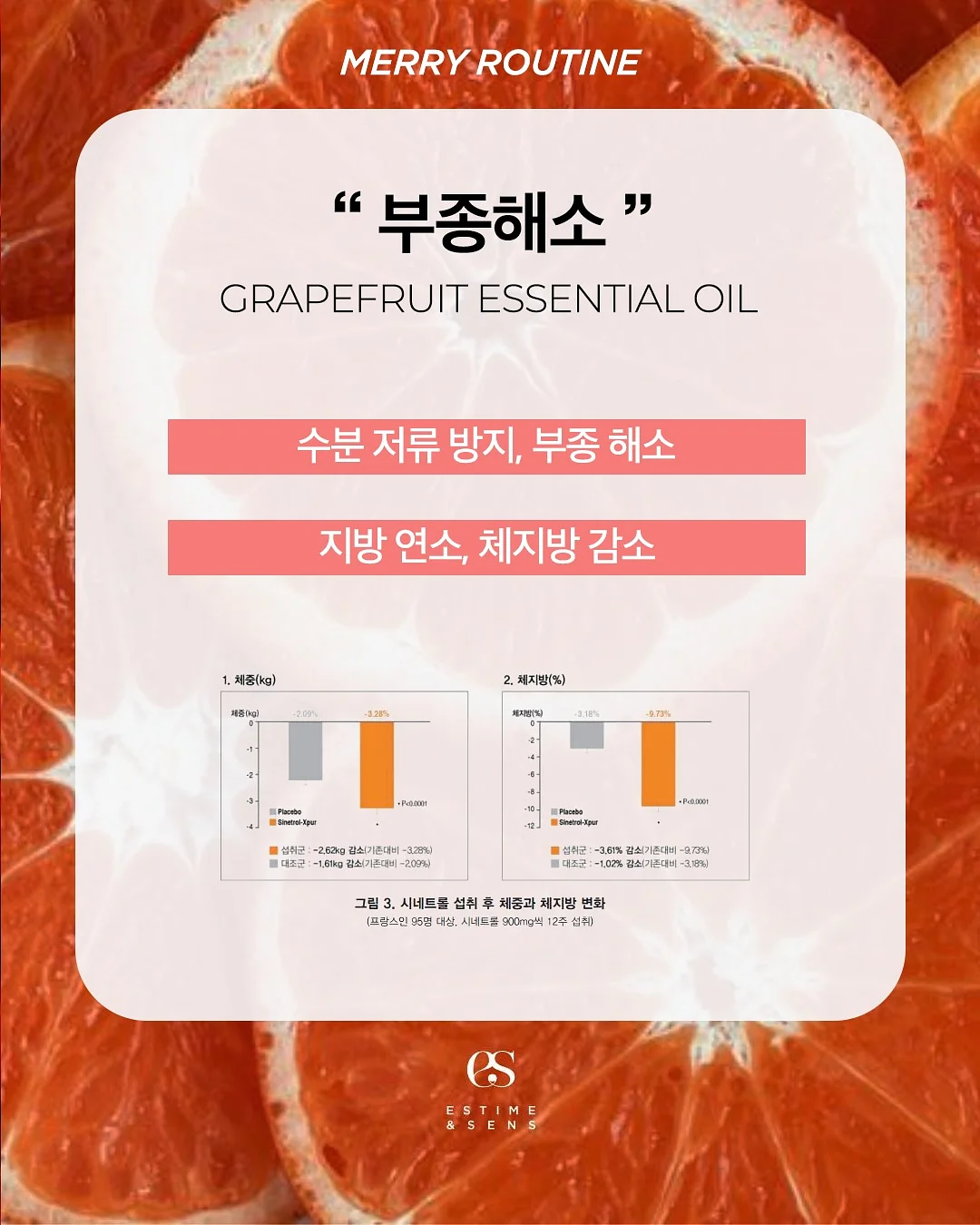 대추단자 15