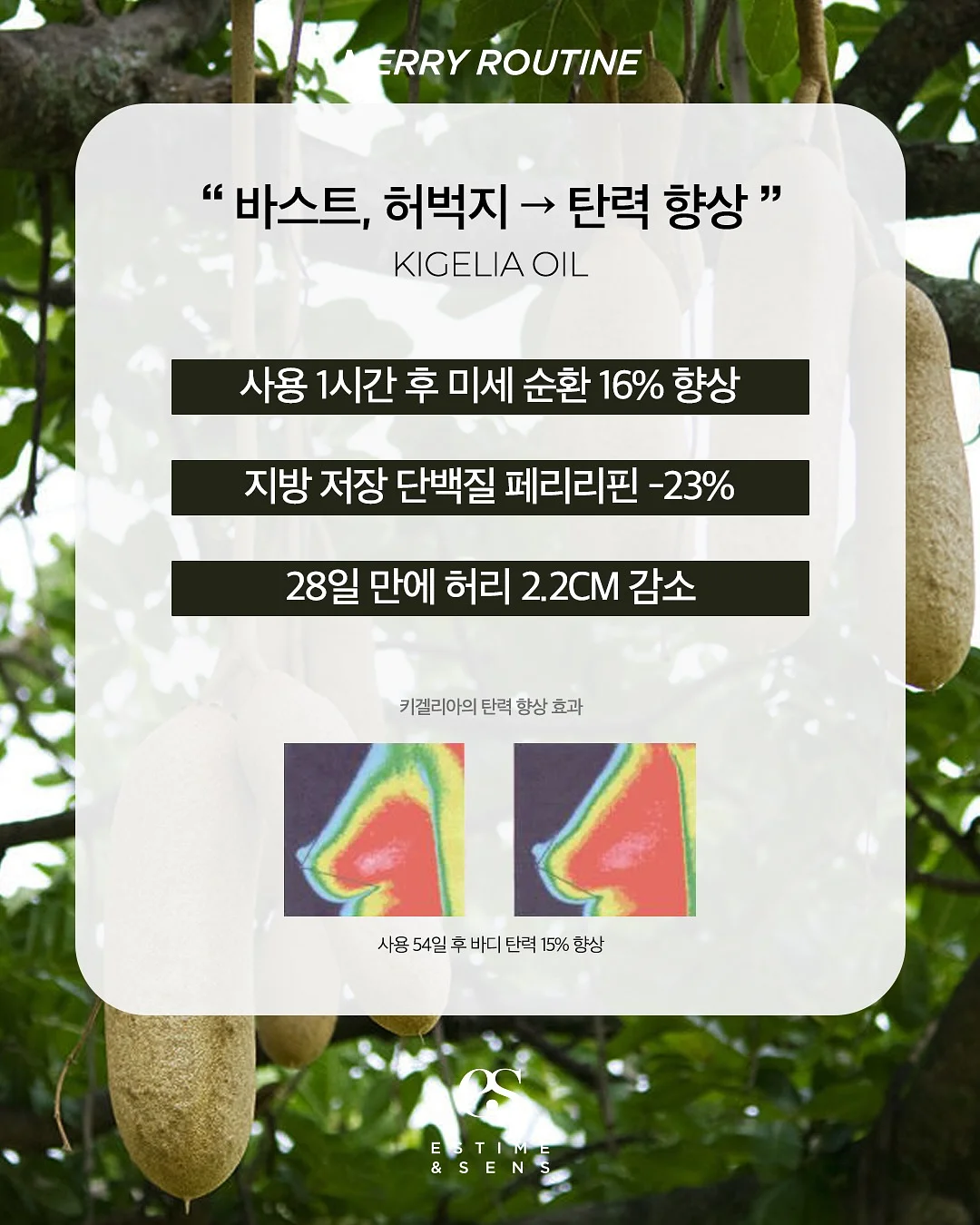 대추단자 16