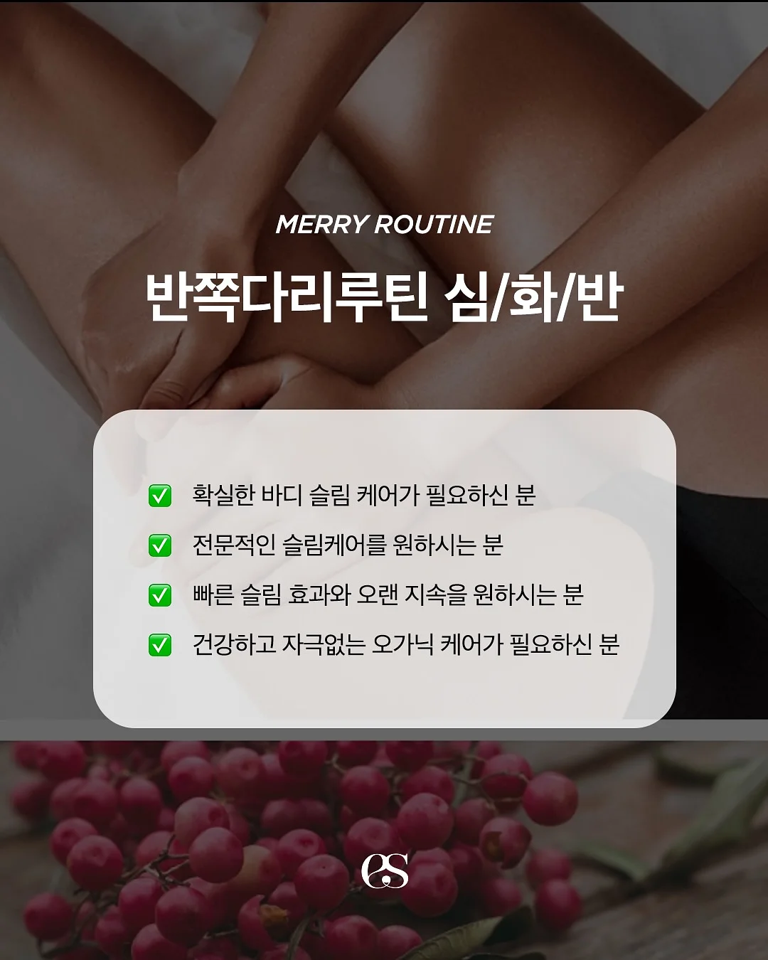 대추단자 5