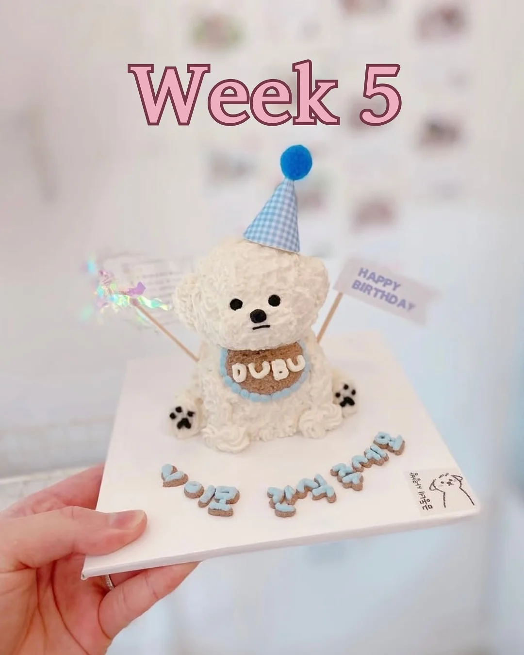 본식 스냅 촬영 6