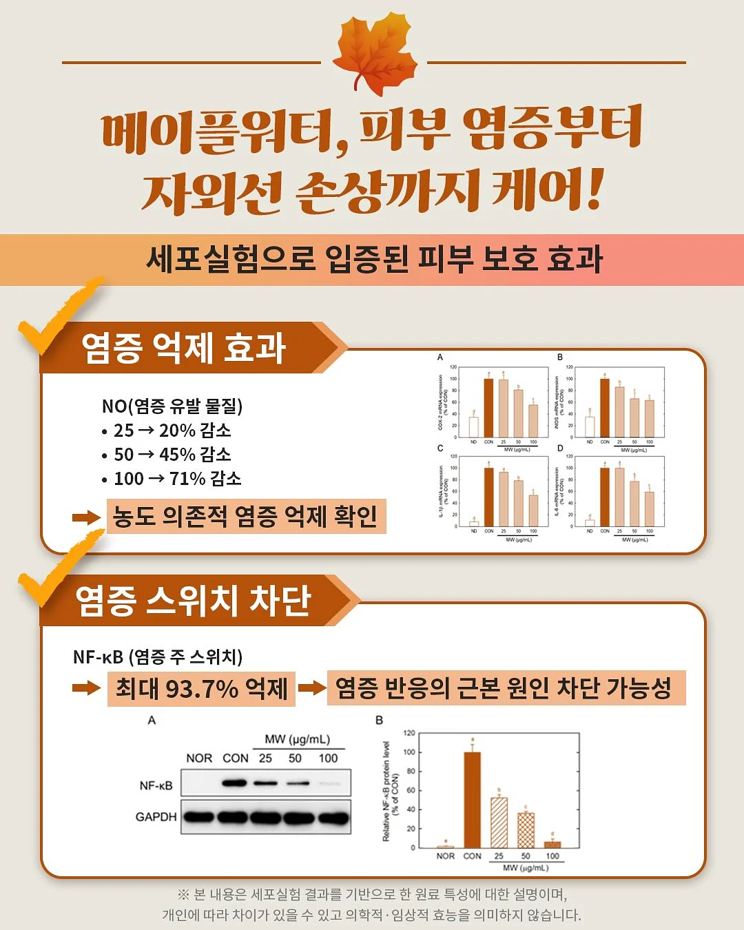 푸즈 캉캉치마 11