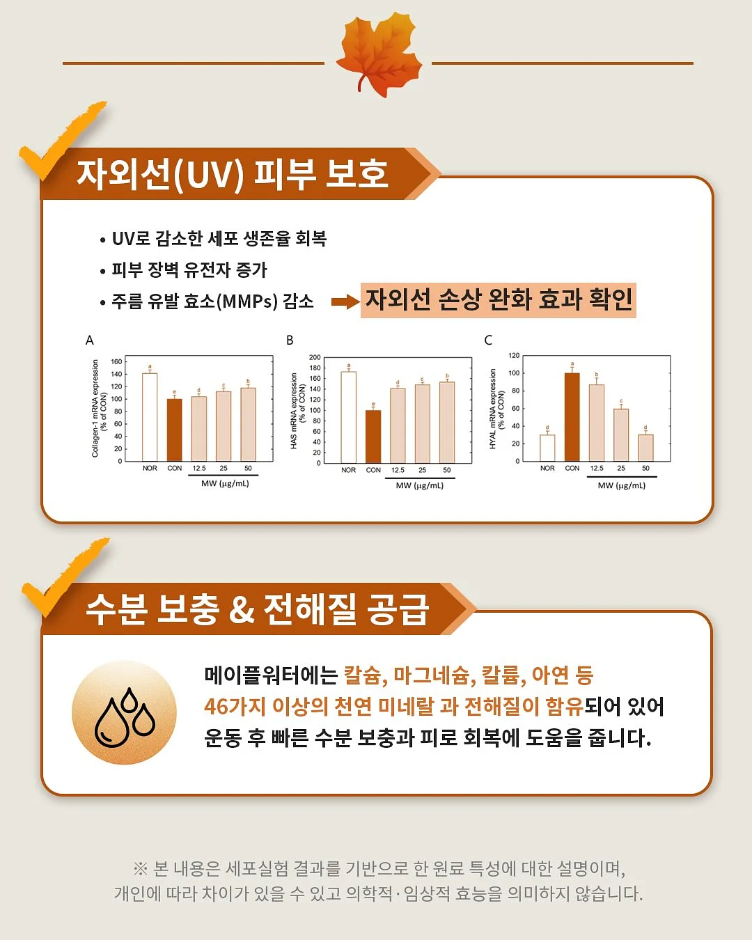 푸즈 캉캉치마 13