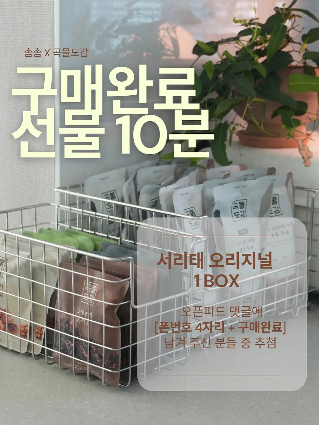 백일/돌상 2
