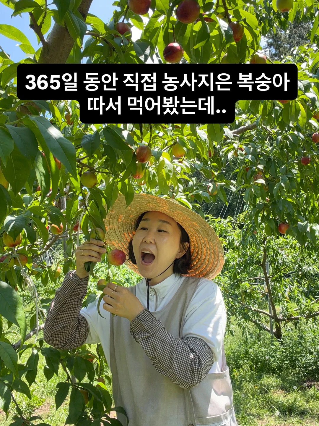 레이어드 슬리브리스 세트 1