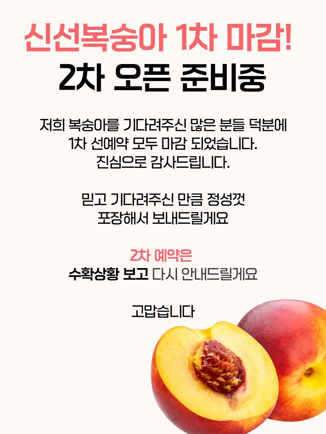 레이어드 슬리브리스 세트 2