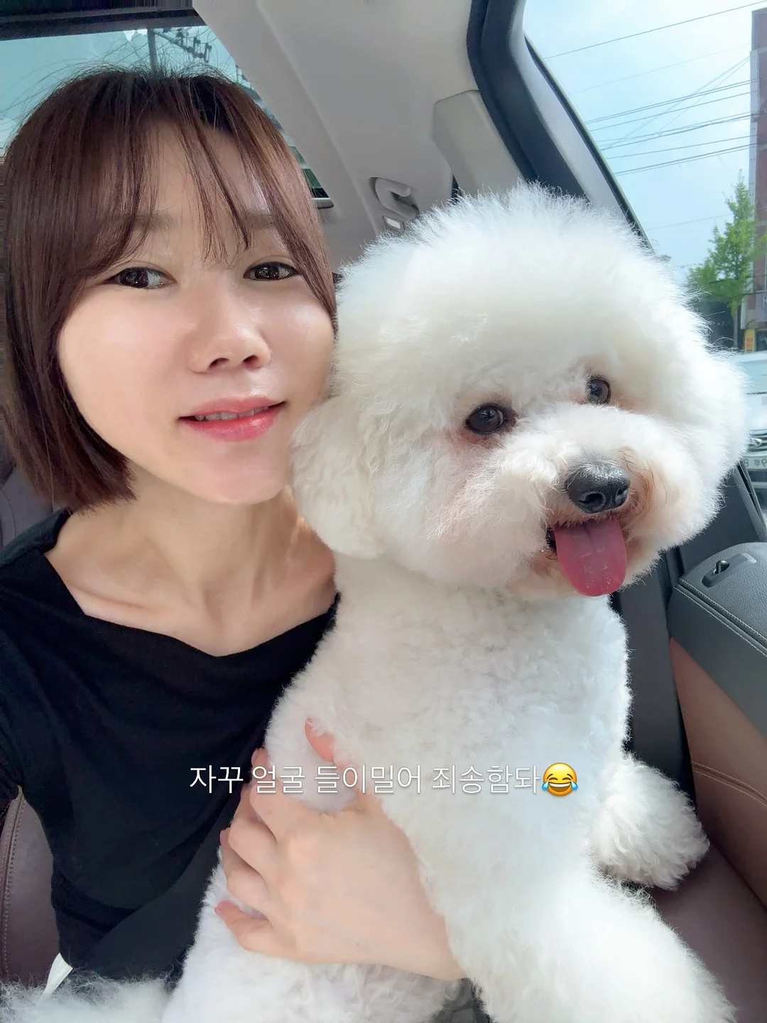 라코스테 데일리 체크셔츠 1