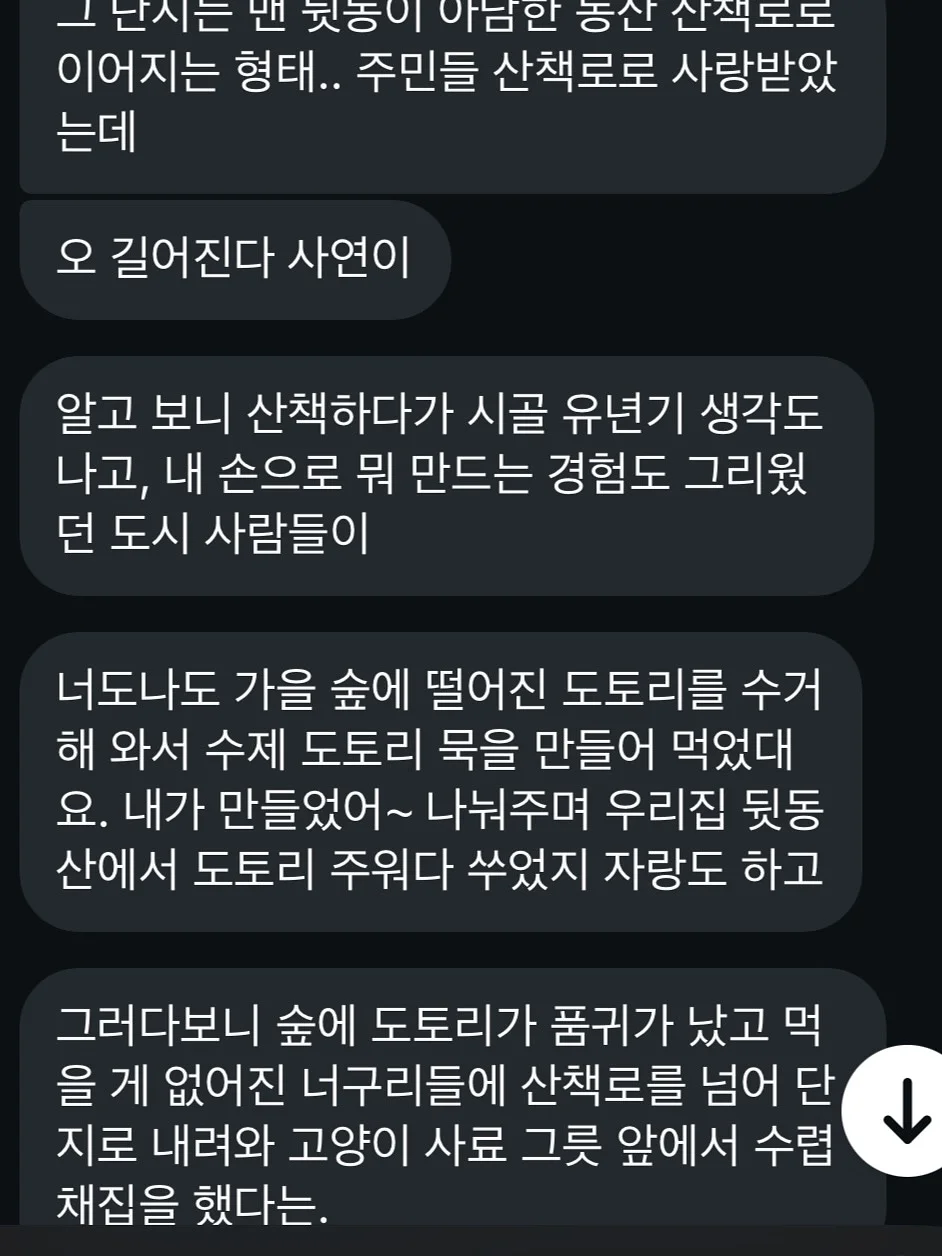 흑청 카프리팬츠 4