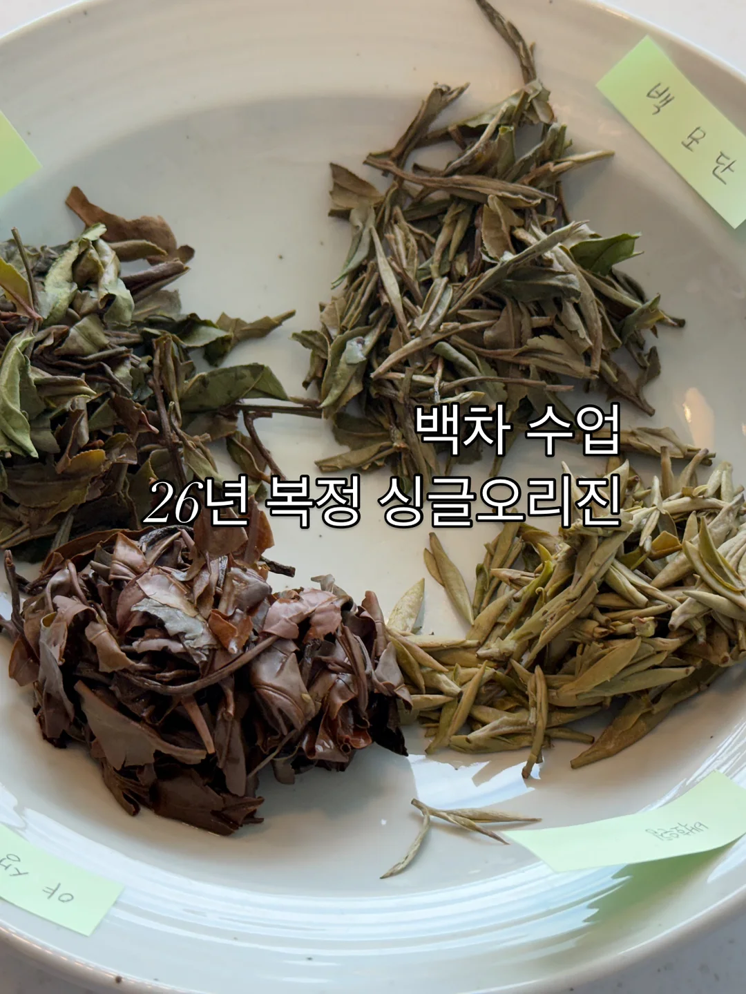 샤이샤이샤이 색소 침착 버블세럼 6