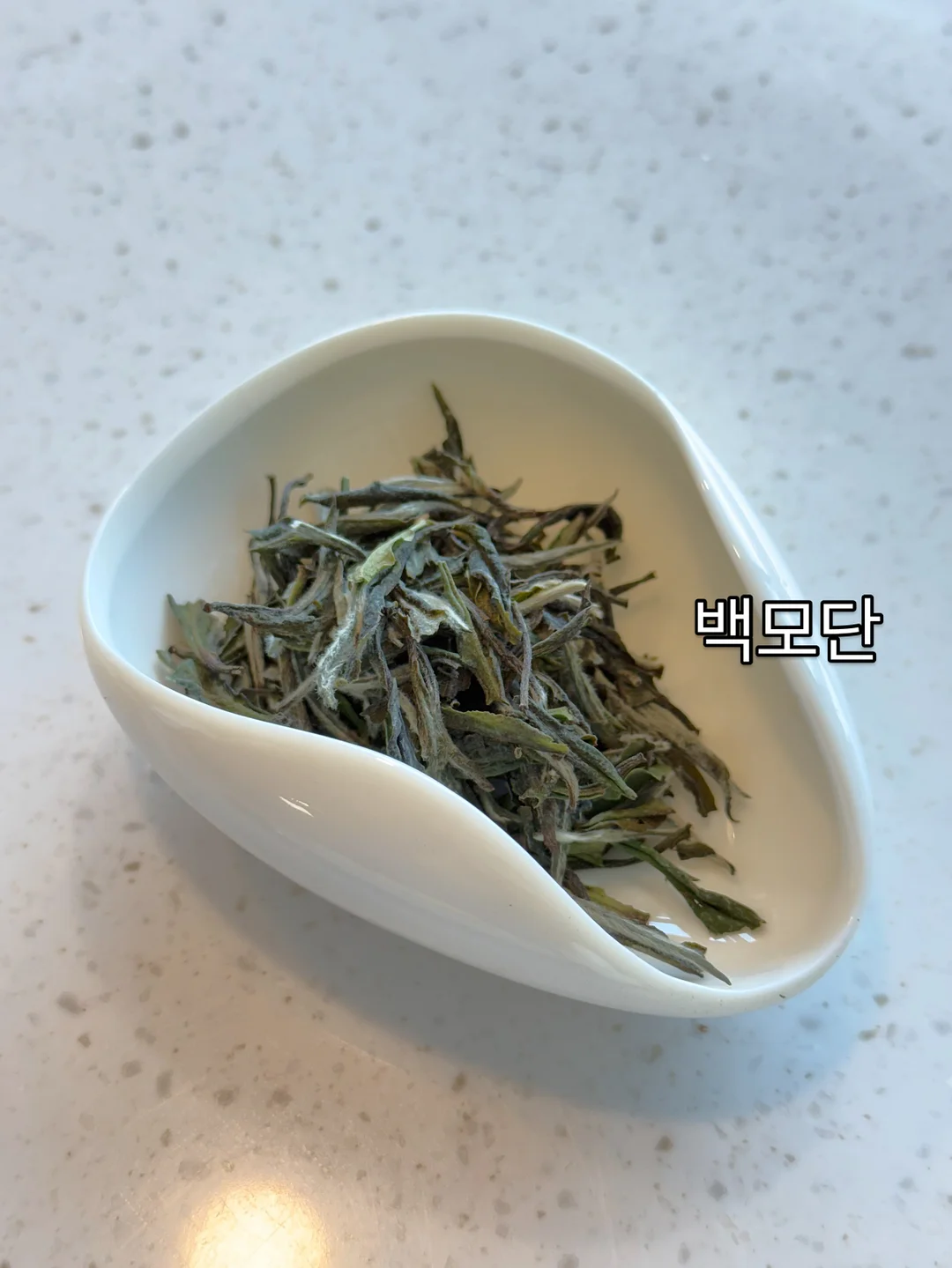 샤이샤이샤이 색소 침착 버블세럼 8