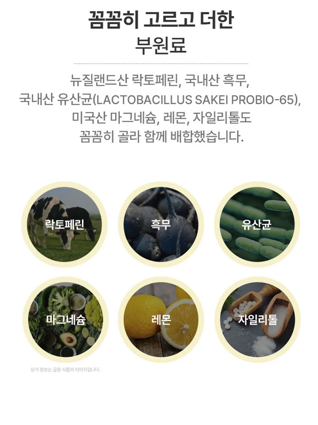 리프 벨트 9