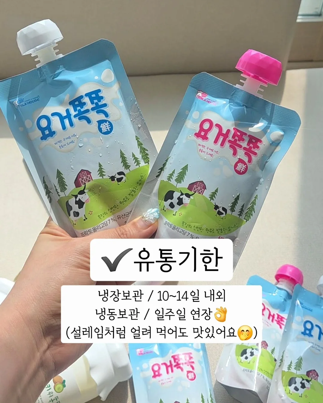 피토버플러스 선크림 12