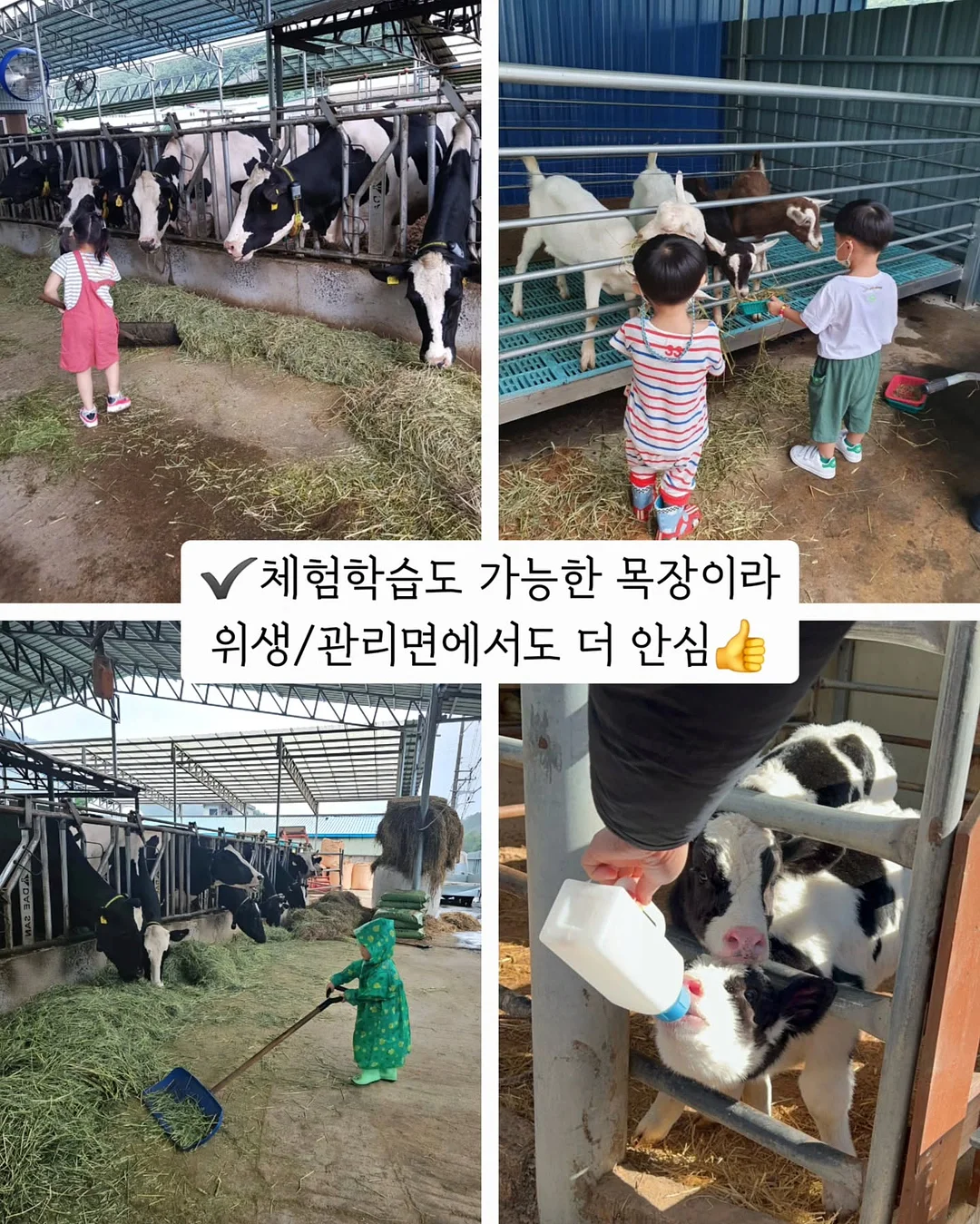 피토버플러스 선크림 13