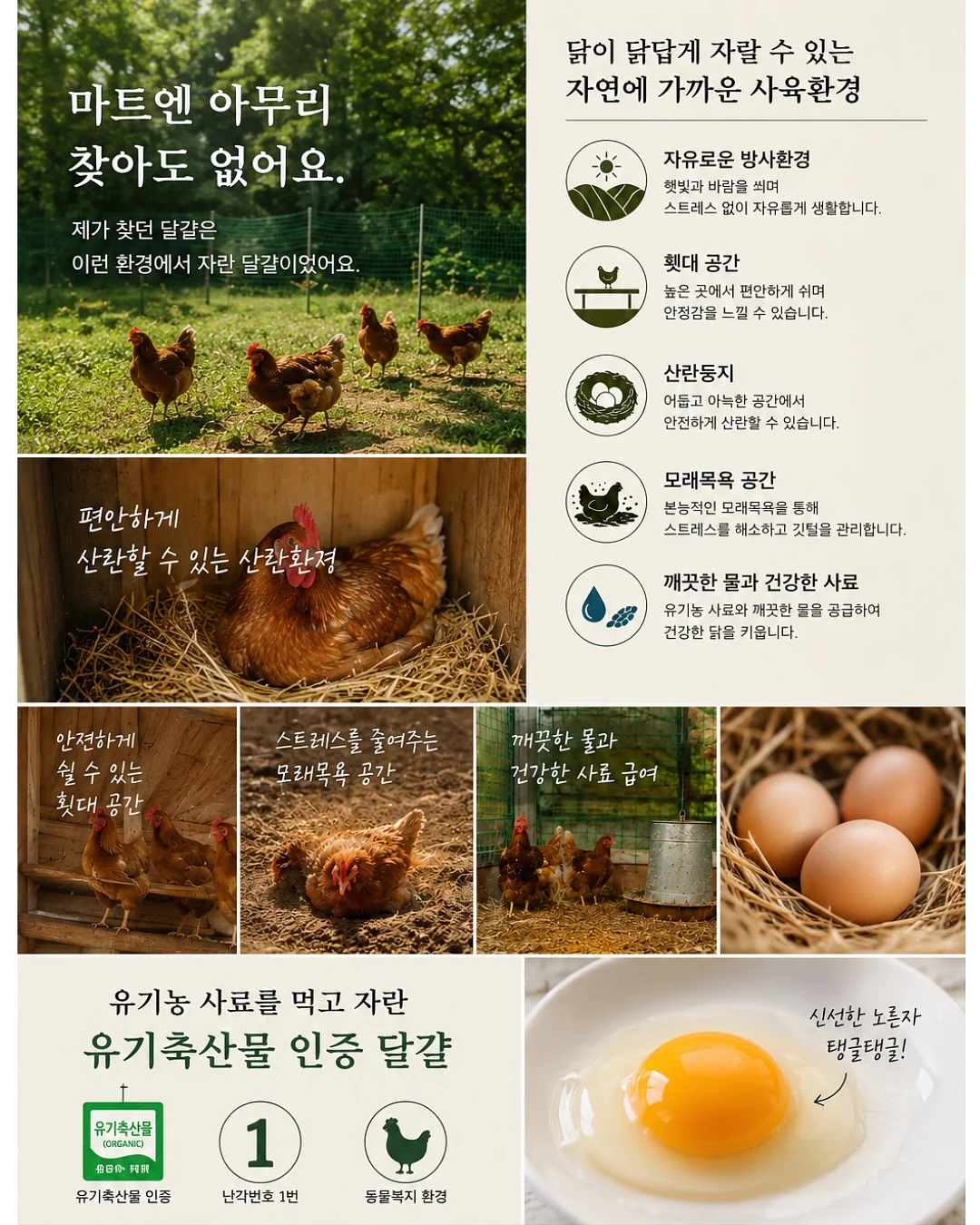 더블엔 츄어블 오메가3 5