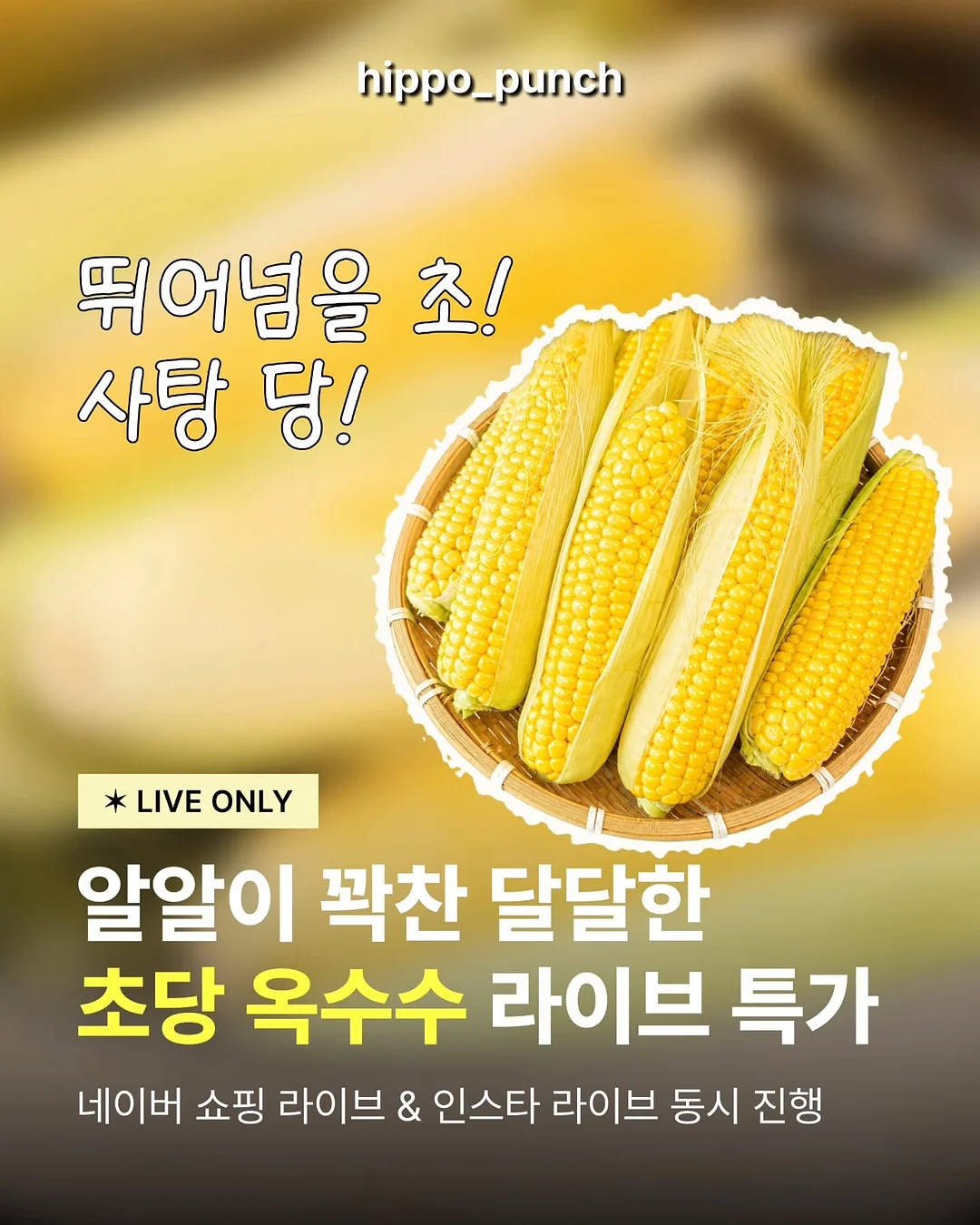 볼륨 헤어브러시