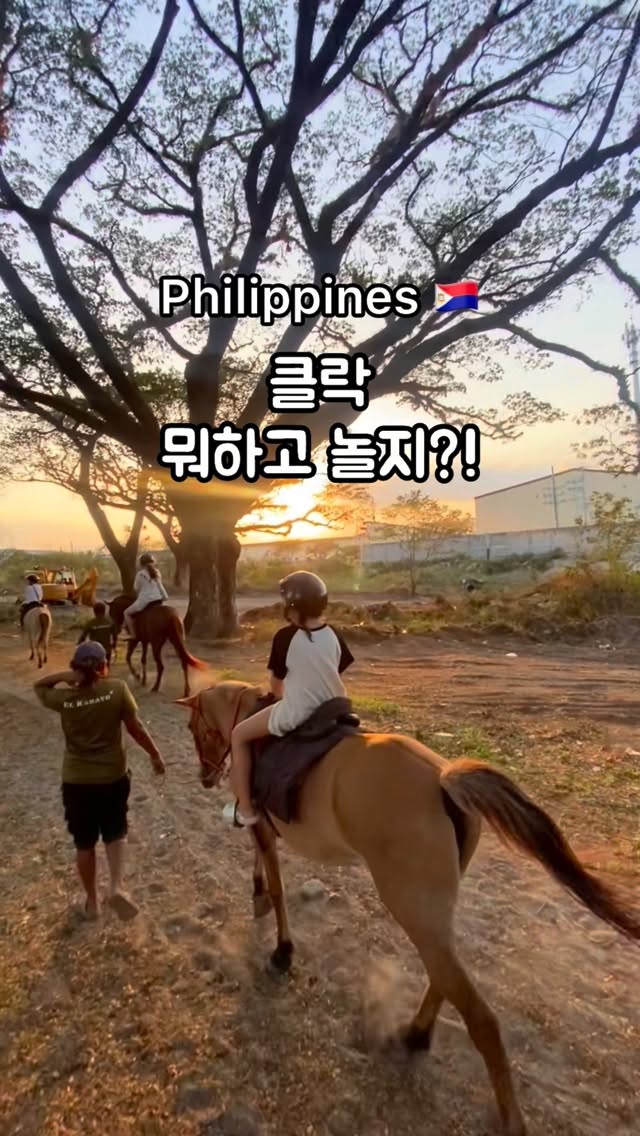 드래곤백