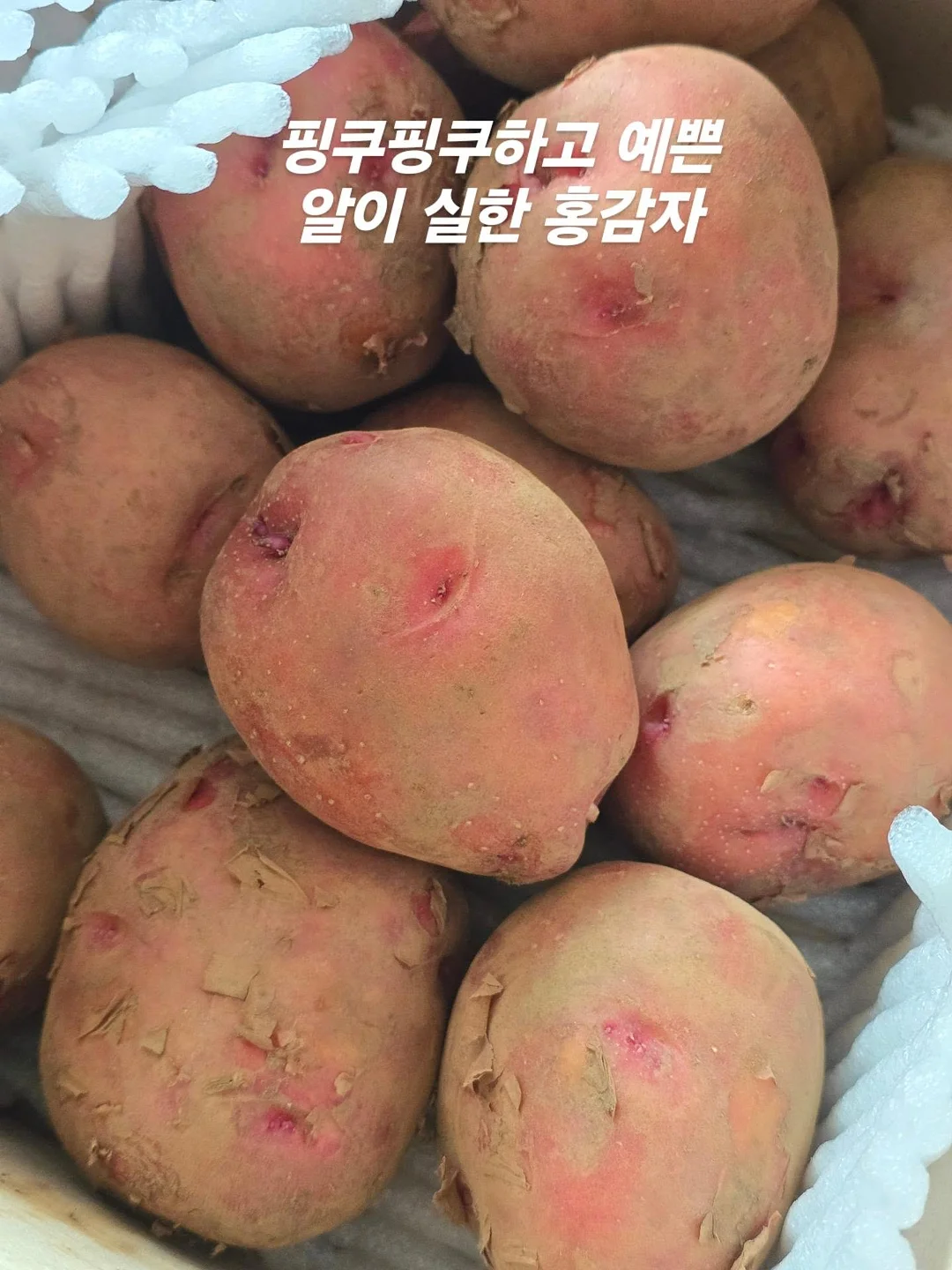 쿨쉐이드 래쉬가드 후드집업 3