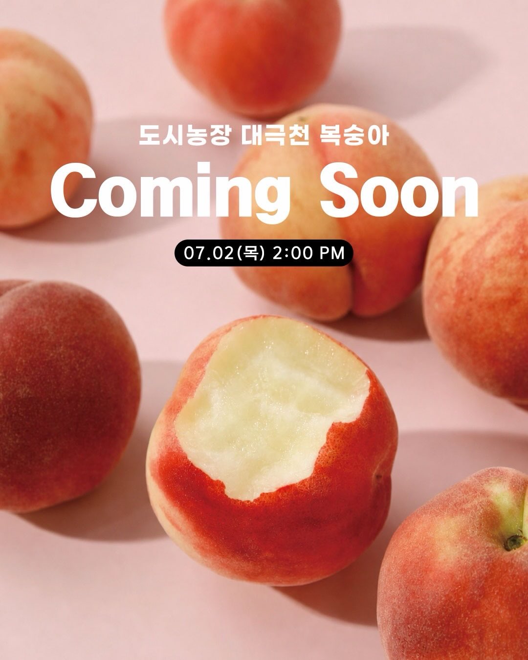 모리나가 베이크 소금 쿠키 쇼콜라 1