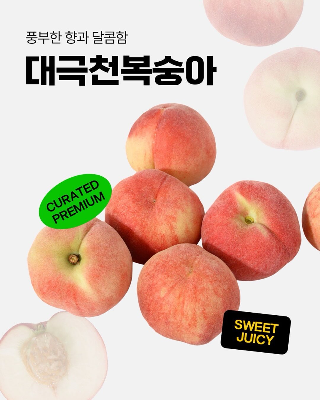모리나가 베이크 소금 쿠키 쇼콜라 3