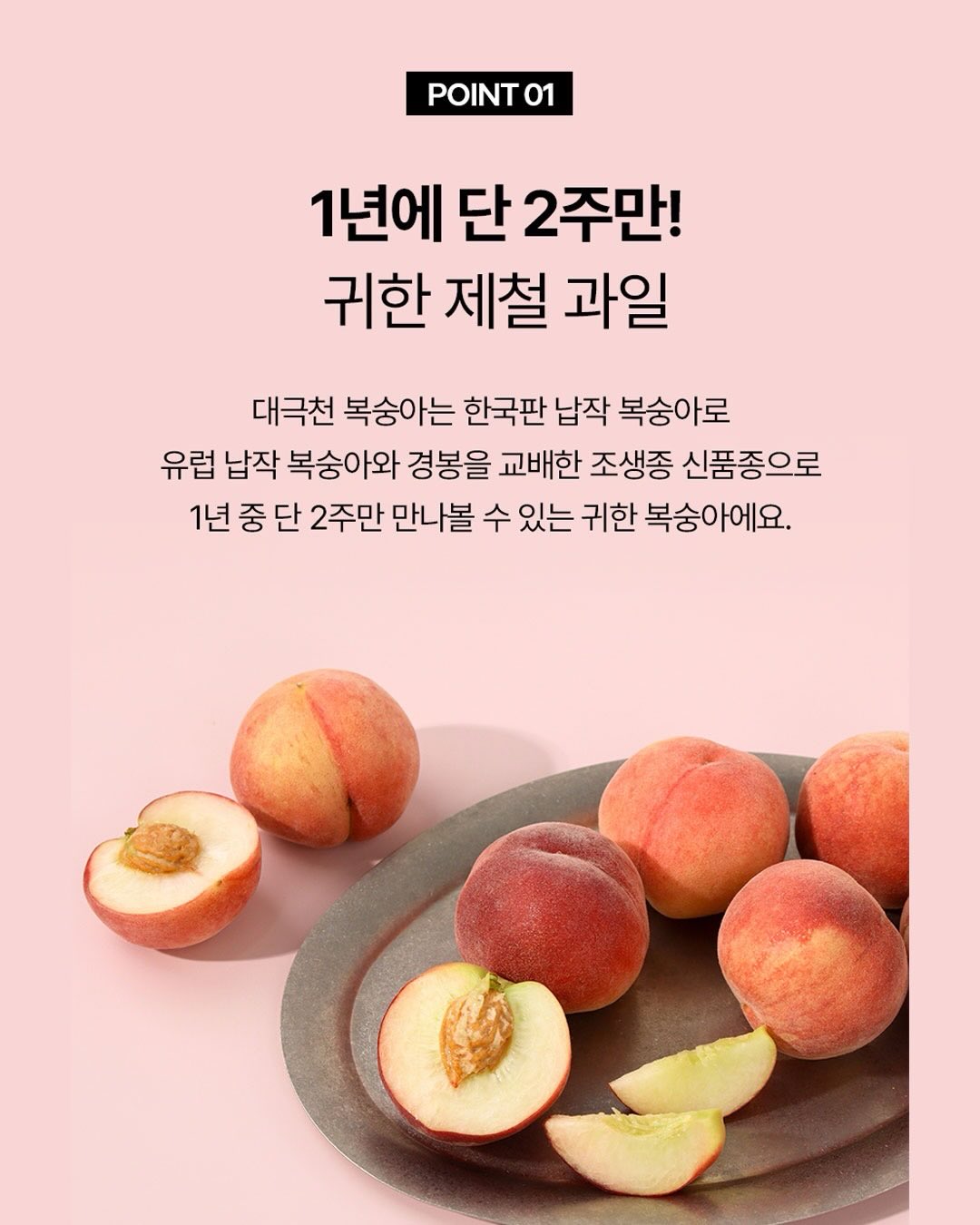 모리나가 베이크 소금 쿠키 쇼콜라 6