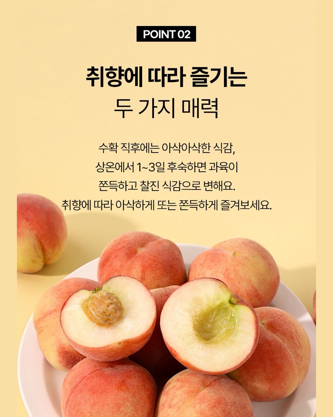 모리나가 베이크 소금 쿠키 쇼콜라 7